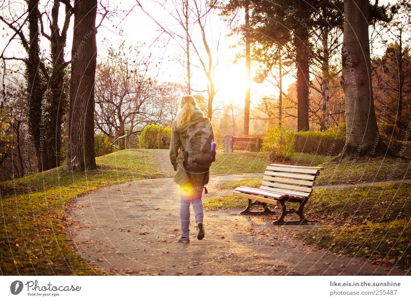 Spätsommer. Sinnesorgane Erholung ruhig Freizeit & Hobby Junge Frau Jugendliche Erwachsene Leben 1 Mensch Landschaft Schönes Wetter Baum Gras Garten Park Wiese