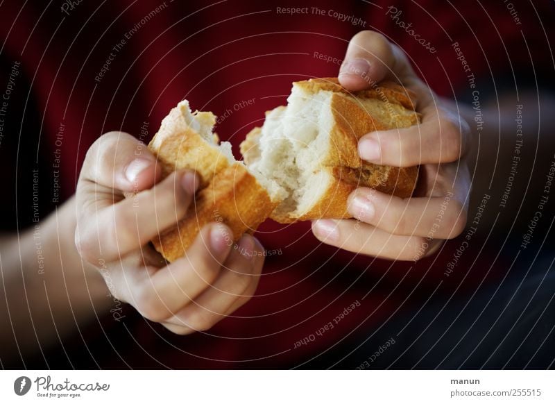 Für Dich soll's bunte Bilder regnen... und was zu essen! Lebensmittel Brot Ernährung Bioprodukte Vegetarische Ernährung Hand Finger berühren Essen machen