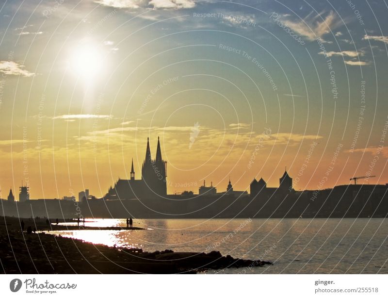 Für dich soll's bunte Himmel regnen! Köln Kölner Dom Stadt Stadtzentrum Kirche authentisch Rhein Flussufer Niedrigwasser Schönes Wetter Freundlichkeit Herbst