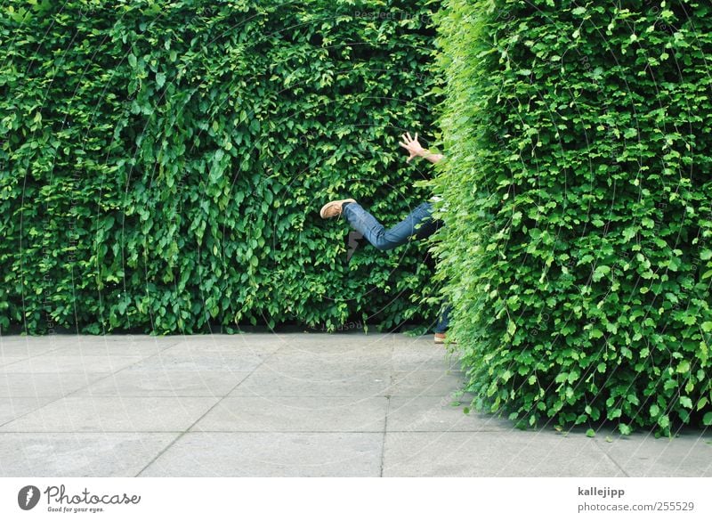 für dich soll´s bunte bilder regnen Mensch maskulin 1 Umwelt Natur Pflanze Sträucher Blatt Grünpflanze Park rennen Hecke Versteck Biologie Farbfoto