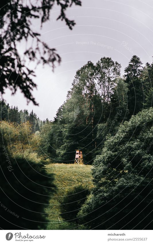 Hochsitz in der Ferne Gesundheit Gesundheitswesen Freizeit & Hobby Ausflug Abenteuer Freiheit Berge u. Gebirge wandern Umwelt Natur Landschaft Wolken Frühling