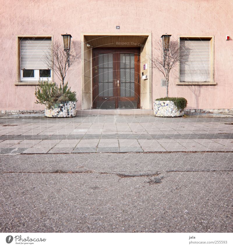 es ist unsinn, türen zuzuschlagen... Pflanze Topfpflanze Haus Platz Bauwerk Gebäude Architektur Mauer Wand Fassade Fenster Tür Rollladen trist grau rosa