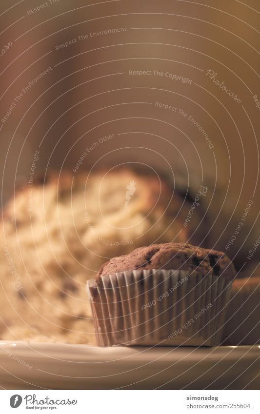 muffin Teigwaren Backwaren Kuchen Ernährung Frühstück Kaffeetrinken Bioprodukte Teller Duft lecker süß trocken Appetit & Hunger Genusssucht genießen Törtchen