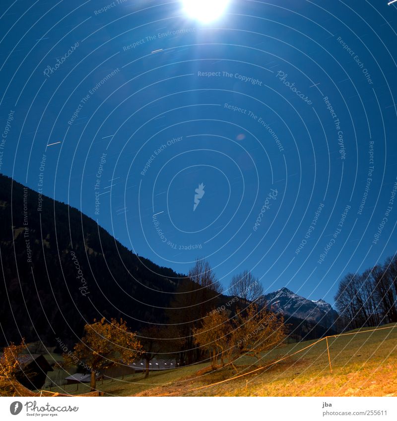 Nachthimmel Berge u. Gebirge Natur Landschaft Urelemente Himmel Stern Mond Vollmond Herbst Winter Baum Feld Alpen Gipfel Schneebedeckte Gipfel Saanenland Holz