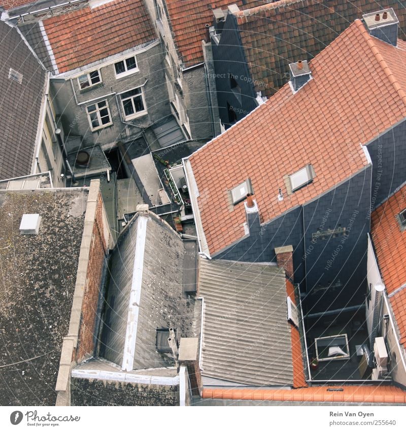 Draufsicht Dorf Kleinstadt Stadt Stadtzentrum Stadtrand Haus Mauer Wand Fenster Dach Dachrinne Schornstein blau braun rot Vogelperspektive Perspektive Quadrat