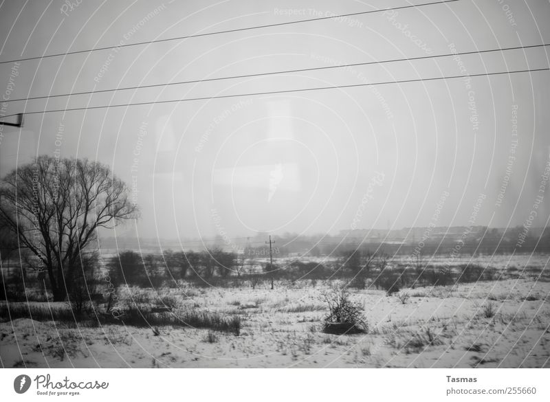 Every Planet We Reach Is Dead Landschaft schlechtes Wetter Schnee Verkehr Verkehrsmittel Personenverkehr Öffentlicher Personennahverkehr Bahnfahren Eisenbahn