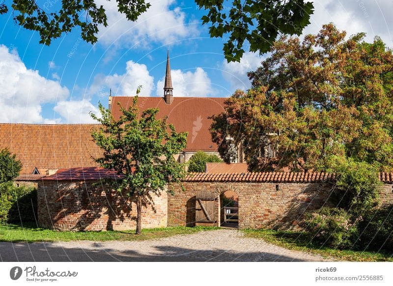 Blick auf das Kloster zum Heiligen Geist in Rostock Tourismus Haus Garten Wolken Baum Stadt Turm Gebäude Architektur Mauer Wand Sehenswürdigkeit alt historisch