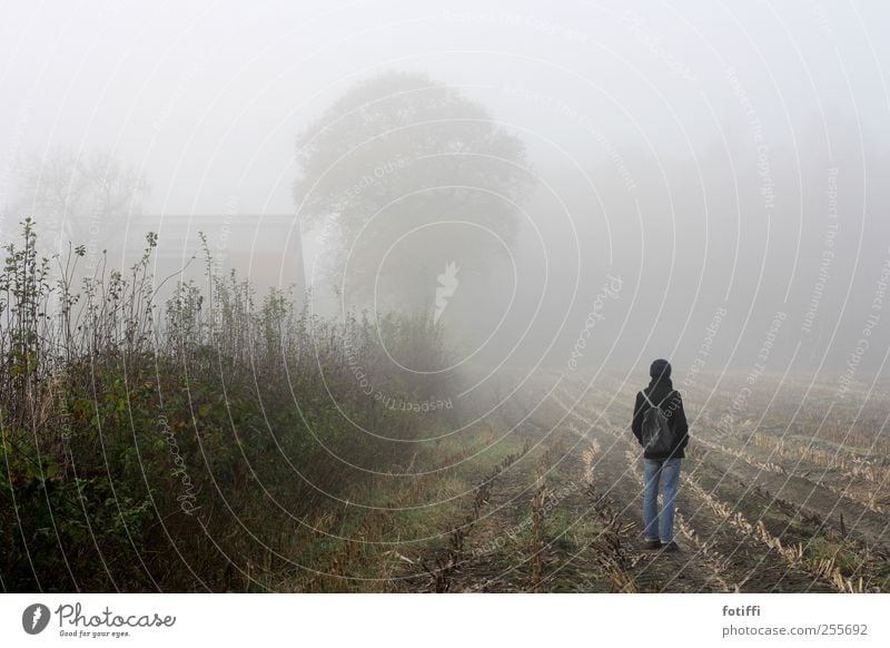 mädchen, nebel, feld & baum 1 Mensch Natur Landschaft Erde Himmel Herbst Wetter Nebel Pflanze Hecke Feld stehen ruhig Stoppel Traurigkeit Dunst warten Ferne