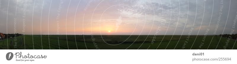 Sonnenuntergang an der Ostsee Umwelt Landschaft Tier Wasser Himmel Wolken Horizont Sonnenaufgang Sommer Herbst Gras Küste Meer Gefühle Farbfoto mehrfarbig