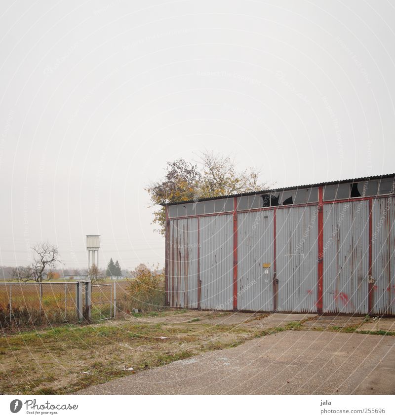 garage Himmel Herbst Pflanze Baum Gras Sträucher Platz Bauwerk Gebäude Wasserturm Garage Garagentor trist Farbfoto Außenaufnahme Menschenleer Textfreiraum oben