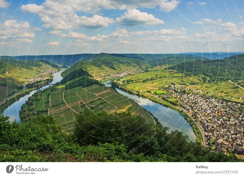 Moselschleife bei Bremm Natur Landschaft Wasser Hügel Fluss Deutschland Europa Dorf Kleinstadt grün Ferien & Urlaub & Reisen Umwelt Weinberg Weinbau Farbfoto