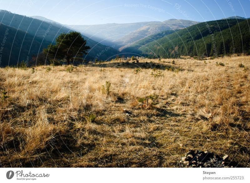 Vitosha Berglandschaft Natur Landschaft Pflanze Urelemente Luft Himmel Horizont Herbst Wetter Schönes Wetter Baum Gras Sträucher Moos Blatt Grünpflanze