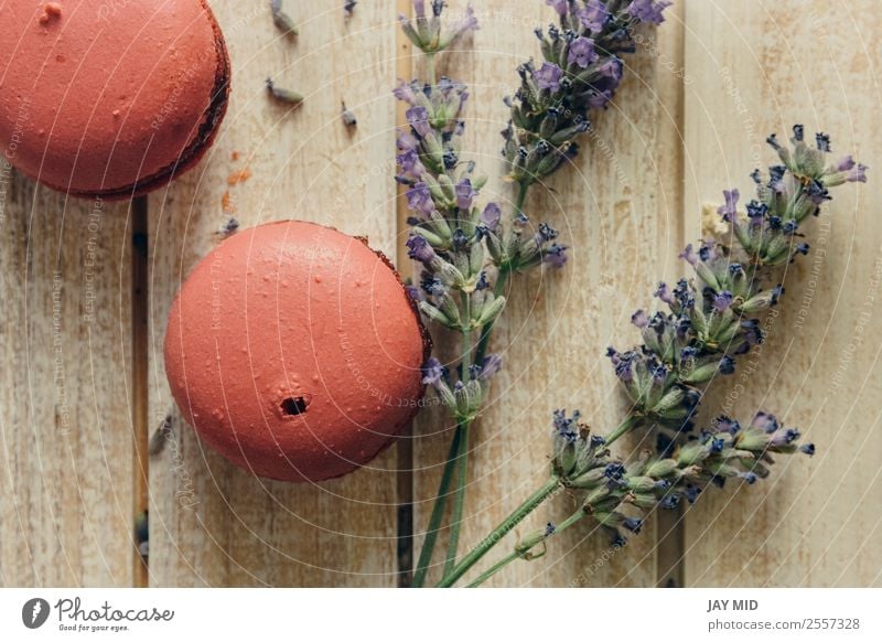 Rosa Makronen und natürliche Blumen auf hellem Holztisch Lebensmittel Milcherzeugnisse Dessert Süßwaren Kaffee Tisch lecker rosa Farbe Tradition Macaron