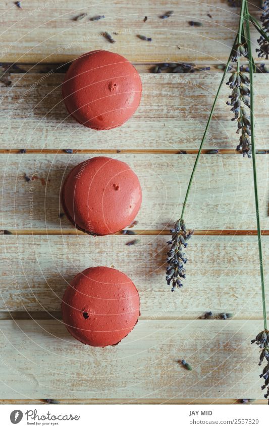 Rosa Makronen und natürliche Blumen auf hellem Holztisch Lebensmittel Milcherzeugnisse Dessert Süßwaren Kaffee Tisch lecker rosa Farbe Tradition Macaron