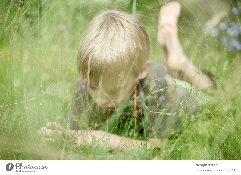 Welterforscher Mensch Kind Junge Kindheit Jugendliche 3-8 Jahre 8-13 Jahre liegen Farbfoto Außenaufnahme Textfreiraum links Tag Schwache Tiefenschärfe