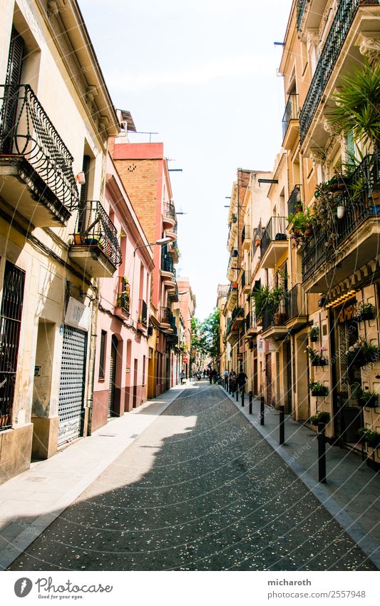 Barcelona Street Ferien & Urlaub & Reisen Tourismus Ausflug Sightseeing Städtereise Häusliches Leben Hauptstadt Stadtzentrum Altstadt Haus Traumhaus Gebäude