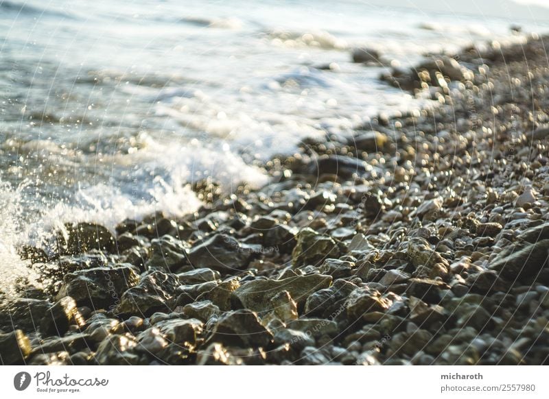 felsige Küste Ferien & Urlaub & Reisen Tourismus Abenteuer Freiheit Sommer Sommerurlaub Insel Wellen Umwelt Natur Klima Klimawandel Schönes Wetter Wind Strand