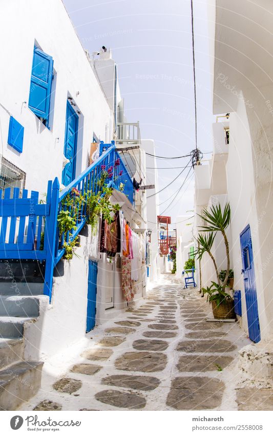 Mykonos Street Ferien & Urlaub & Reisen Tourismus Ausflug Sightseeing Sommer Sommerurlaub Sonne Kunst Architektur Dorf Fischerdorf Haus Traumhaus Gebäude Mauer