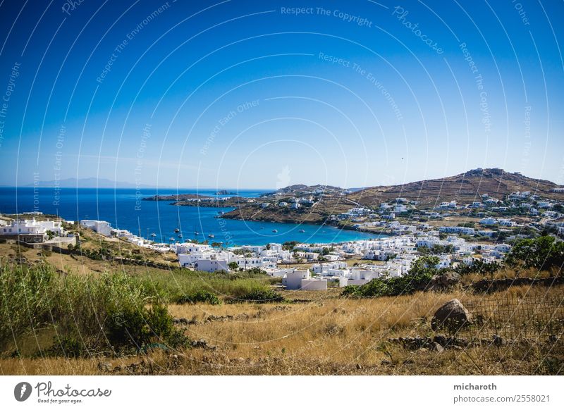 Mykonos Village Angeln Ferien & Urlaub & Reisen Tourismus Ausflug Abenteuer Ferne Freiheit Sightseeing Sommerurlaub Meer Landschaft Pflanze Wolkenloser Himmel