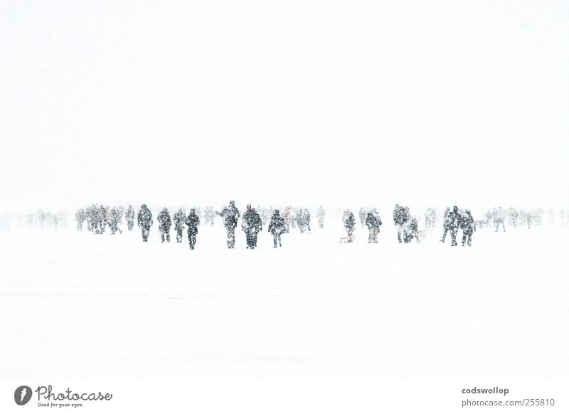 winter wanderland Winter Klima Wetter Unwetter Schnee See kalt grau schwarz weiß Alster Spaziergang Menschenmenge Hamburg Schneesturm 2010 Eis Frost Farbfoto