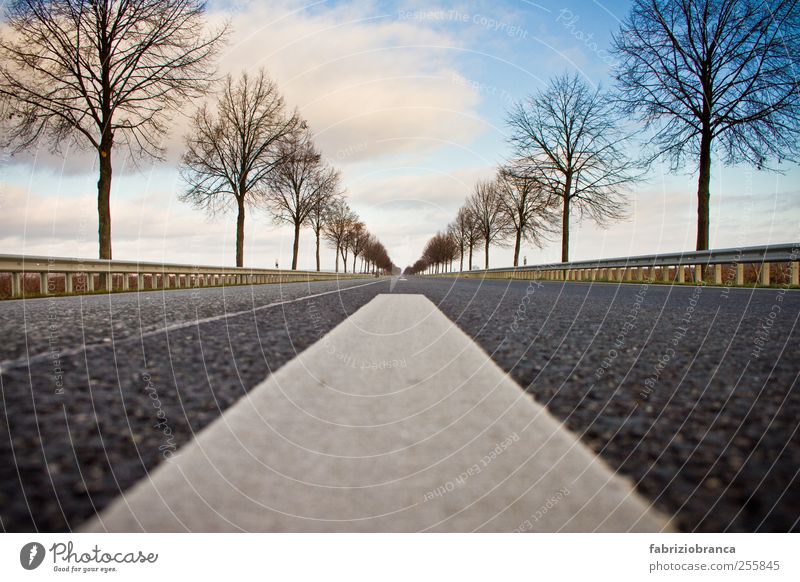 Point of view Landschaft Himmel Wolken Horizont Baum Menschenleer Verkehr Verkehrswege Straßenverkehr Autofahren Fahrzeug PKW Ferne Farbfoto Außenaufnahme