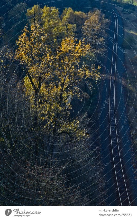 Wild West Landschaft Tier Schönes Wetter Verkehr Schienenverkehr Bahnfahren Eisenbahn Gleise Stimmung beweglich Abenteuer Erfolg erleben Mobilität Zufriedenheit