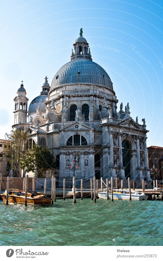 Santa Maria della Salute Hafenstadt Stadtzentrum Altstadt Kirche Dom Bauwerk Gebäude Architektur Sehenswürdigkeit Denkmal Glaube Religion & Glaube Venedig