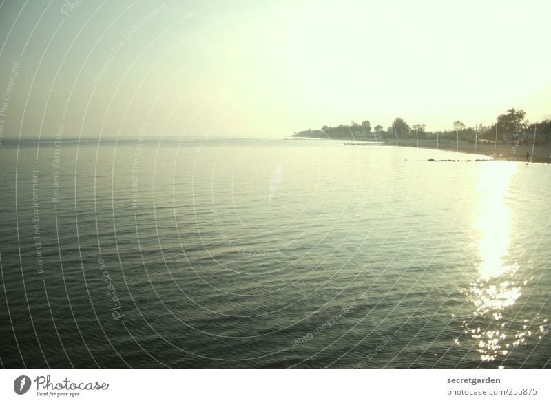 unendlichkeit. Ferien & Urlaub & Reisen Ferne Strand Meer Insel Wellen Wolkenloser Himmel Sommer Schönes Wetter Küste Wasser glänzend Wärme grün Fernweh