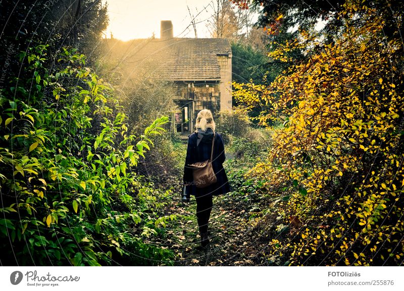 (K)ein Wunderland Junge Frau Jugendliche 1 Mensch 18-30 Jahre Erwachsene Natur Sonne Herbst Sträucher Wildpflanze Menschenleer Ruine Dach Schornstein Mantel