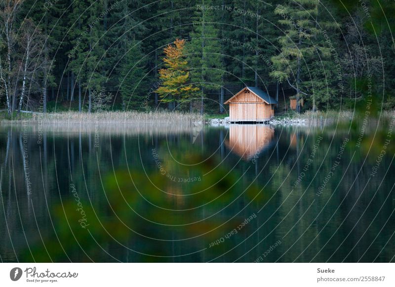 Bergseehütte Schwimmen & Baden Ausflug Freiheit Berge u. Gebirge wandern Holzhütte Haus Natur Landschaft Pflanze Wasser Herbst Schilfrohr Wald Seeufer Erholung