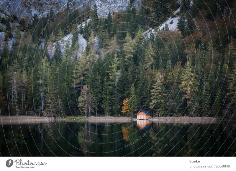 Bergseehütte Wasser ruhig Gesundheit Zufriedenheit Glück Horizont Idylle einzigartig Natur Erholung Freiheit Berge u. Gebirge Abenteuer Seeufer Pur und Rein