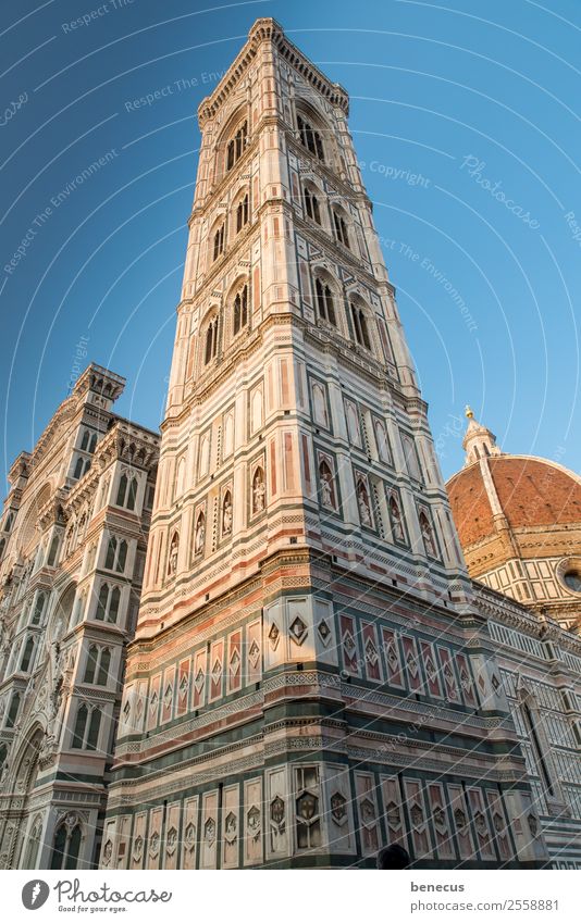 Campanile Stadt Kirche Turm Bauwerk Gebäude Architektur Sehenswürdigkeit Wahrzeichen historisch blau weiß ästhetisch Ziel Marmor fluchtend Fenster Fensterbogen