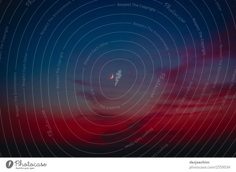 Allein im Outback. Eine Mondsichel am blauen Himmel.  Unten ein schönes hell dunkles  Rot. harmonisch Ausflug Umwelt Natur Nachthimmel Sommer Schönes Wetter