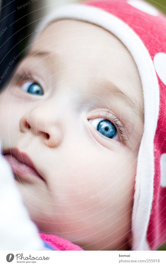 Kleiner Käfer Mensch Baby Leben Kopf Gesicht Auge Nase Mund Lippen 1 0-12 Monate Mütze Blick schön klein niedlich blau Geborgenheit Wachsamkeit blauäugig