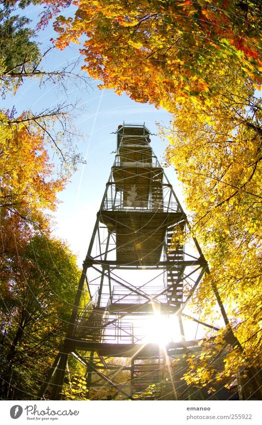 Herbstaussicht Ferien & Urlaub & Reisen Tourismus Ausflug Sightseeing Sommer Sonne Berge u. Gebirge wandern Natur Landschaft Himmel Klima Wetter Baum Blatt Wald