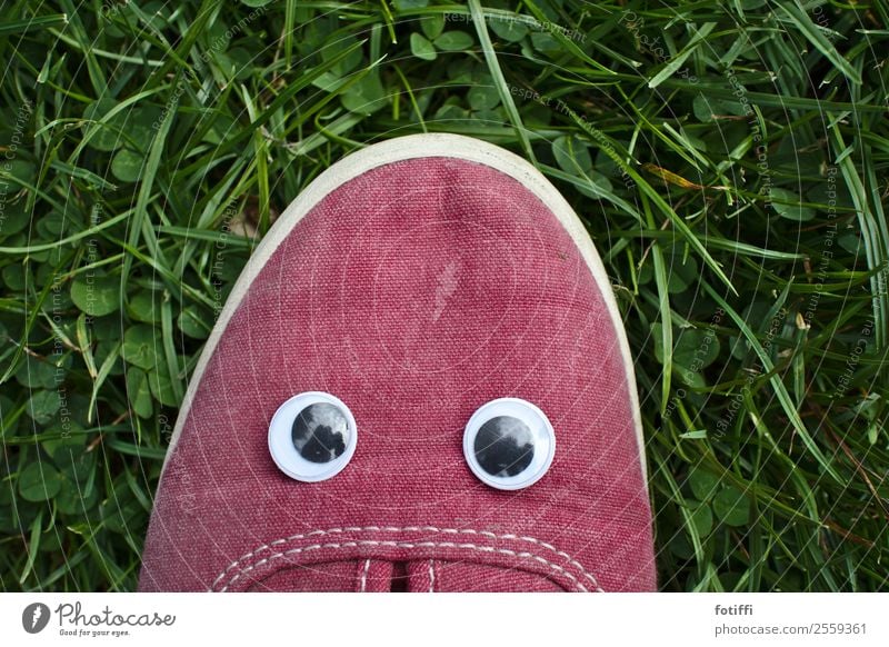 Wackel 1 Gesicht Auge Pflanze Gras fantastisch Schuhe rot wackelauge kindisch kindlich beleidigt Außenaufnahme Blick in die Kamera