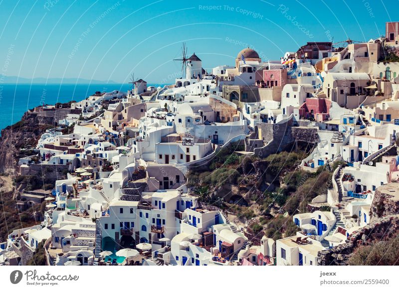 Blick über die weißen Häuser in Oia, Santorin, bei Tag, mit alten Windmühlen Küste Sommer Schönes Wetter Ferien & Urlaub & Reisen Außenaufnahme Farbfoto