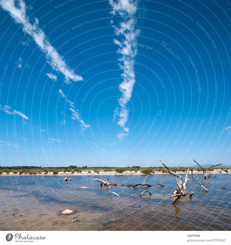 Salzsee Luft Wasser Himmel Sommer Wärme dehydrieren Meerwasser Saline Holz vertrocknet bizarr blau braun weiß grün Landschaft mediterran Mallorca Ses Salines