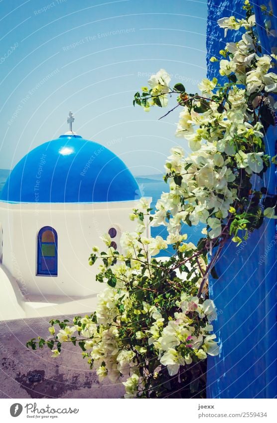 Blau Ferien & Urlaub & Reisen Tourismus Himmel Meer Insel Santorin Griechenland Dorf Altstadt Haus Kirche Mauer Wand Dach Sehenswürdigkeit alt schön blau grün