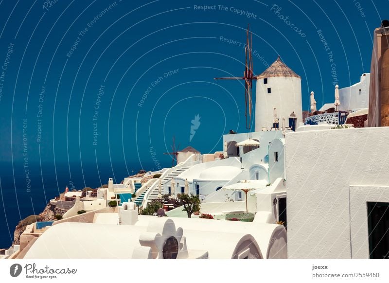 Idyllische weiße Häuser  auf Santorin mit Windmühlen vor blauem Himmel Sommer Ferien & Urlaub & Reisen Schönes Wetter Oia Farbfoto Griechenland Außenaufnahme