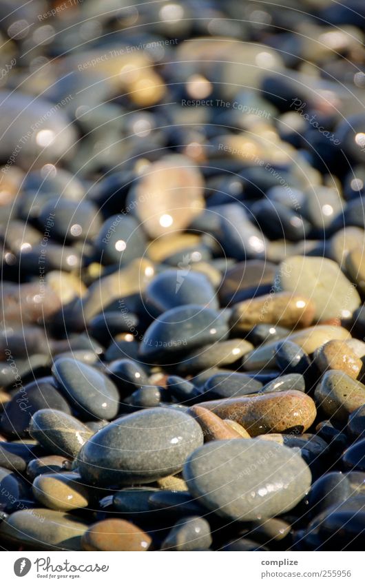 Steine Wellness harmonisch Wohlgefühl Zufriedenheit Sinnesorgane Erholung ruhig Schwimmen & Baden Ferien & Urlaub & Reisen Umwelt Erde Wasser Wellen Küste