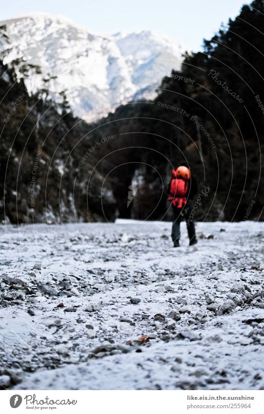 endlich ist er da, der WINTER! harmonisch Wohlgefühl Zufriedenheit Sinnesorgane ruhig Freizeit & Hobby Ferien & Urlaub & Reisen Ausflug Abenteuer