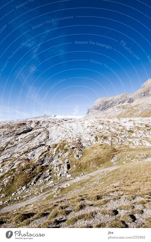 schneeloser Glacier I Zufriedenheit Erholung ruhig Ausflug Freiheit Sommer Berge u. Gebirge wandern Sportstätten Landschaft Urelemente Herbst Klimawandel