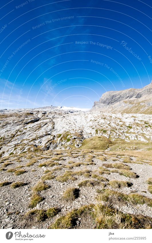 schneeloser Glacier II Sonnenlicht Starke Tiefenschärfe Weitwinkel Außenaufnahme Ausflug Freiheit Sommer Berge u. Gebirge wandern Zufriedenheit Erholung ruhig