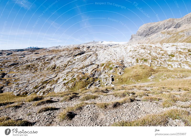 schneeloser Glacier III Sonnenlicht Starke Tiefenschärfe Weitwinkel Außenaufnahme Ausflug Freiheit Sommer Berge u. Gebirge wandern Zufriedenheit Erholung ruhig