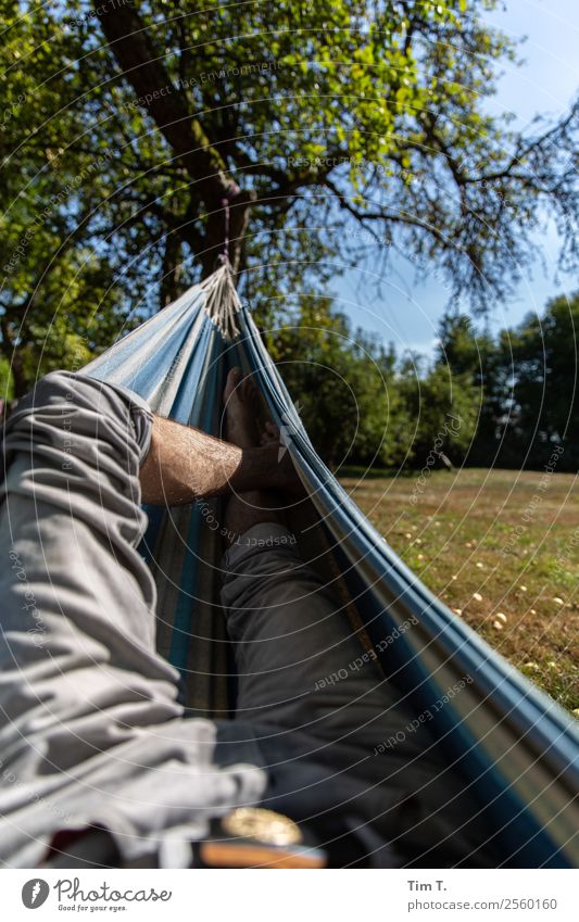 Relax Mensch maskulin Beine 1 Umwelt Natur Landschaft Garten Erholung Perspektive Unlust Polen Jeanshose Apfelbaum Hängematte Farbfoto Außenaufnahme Tag