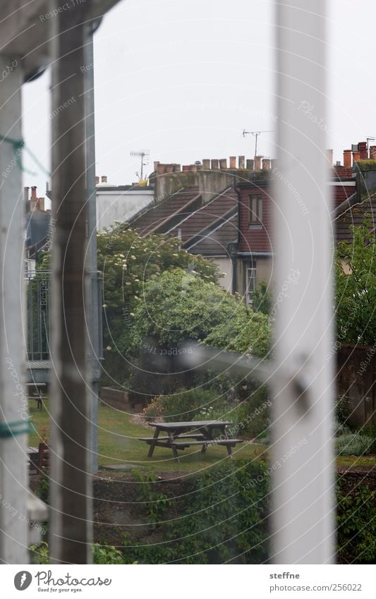 Kalendertür Baum Garten Park Wiese Brighton England Kleinstadt Stadt Menschenleer Haus Einfamilienhaus Fenster Idylle ruhig Picknick Fensterrahmen Blick