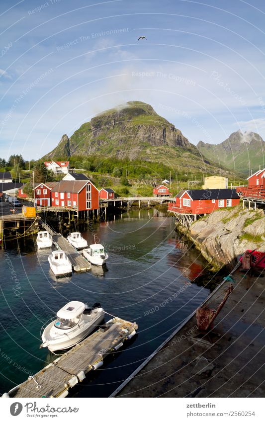 Å i Lofoten, Hafen Angeln Wasserfahrzeug Steg Anlegestelle falunrot Felsen Ferien & Urlaub & Reisen Fischer Fischereiwirtschaft Fischerhütte Fjord Himmel