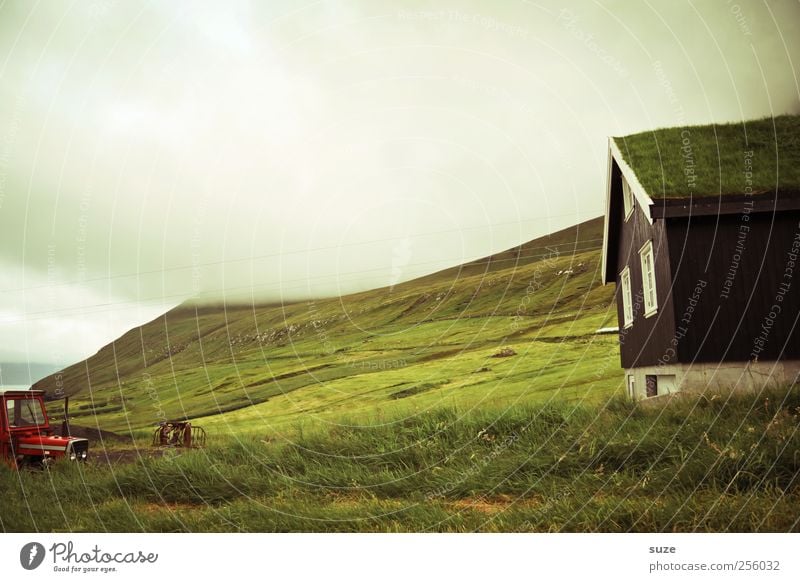 Scheune Ferne Insel Berge u. Gebirge Haus Umwelt Natur Landschaft Wolken Gewitterwolken Klima Wetter Nebel Gras Wiese Felsen Küste Bucht Fjord Dorf Hütte