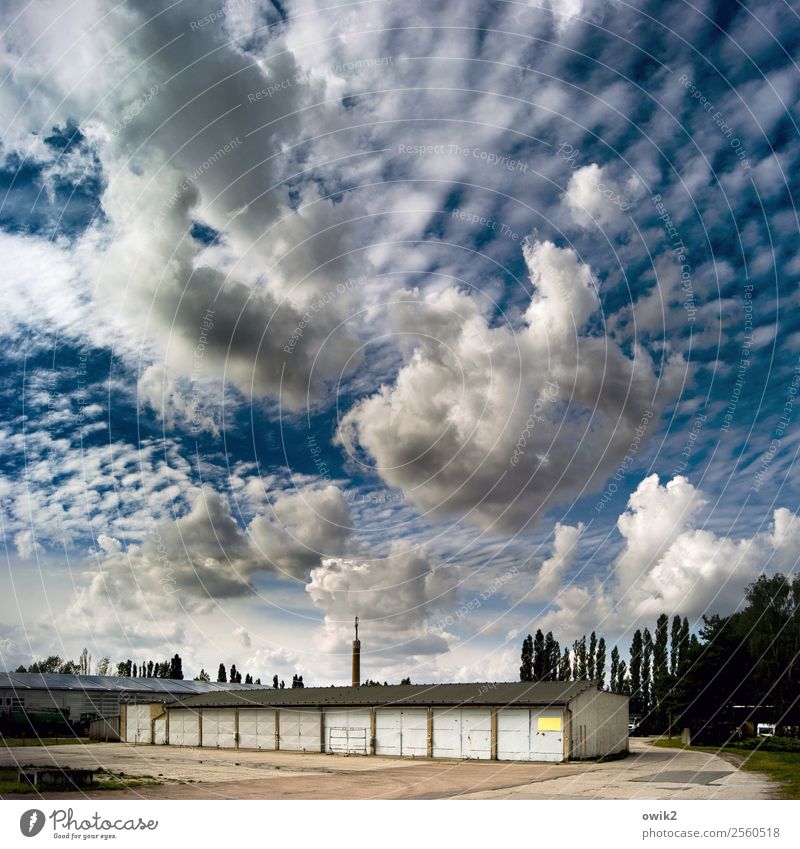 Himmel über Seyda Umwelt Wolken Horizont Schönes Wetter Baum Sachsen-Anhalt Deutschland Kleinstadt Stadtrand Garage Funkturm Beton Holz einfach gigantisch groß